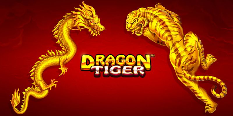 Giới thiệu đôi nét để hiểu thêm về game Dragon Tiger